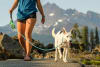 ruffwear just a cinch leash1