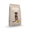 Gosbi exclusive mini senior1