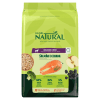 guabi raza mediana adulto salmon/ceb2