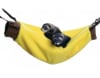 marshall  refugio banana1