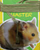 lw collar+correa hamster1