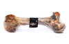 wild femur vacuno1