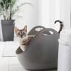 litter box con pala6