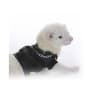 marshall chaqueta cuero1