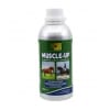 trm muscle up2