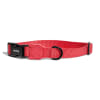 zeedog neon coral collar3