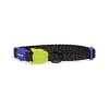 zeecat nox collar1