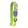 zeedog nox lumen collar4