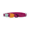 zeecat nox sidus collar1