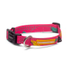 cachorre collar olivia2