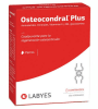 osteocondral1