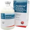 Pendistrep1