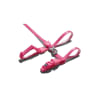 zeecat pink wave arnes+trailla1