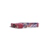 zeecat pinna collar1