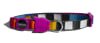 zeecat prisma collar1