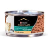 proplan kitten lata1