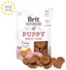 brit jerky snack puppy turkey meaty coins1