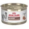 royal canin recovery 145gr1