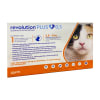 revolution plus gato2