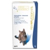 revolution gato1
