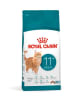 royal canin gato 11+1