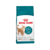 royal canin ageing 15+1