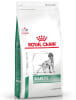 royal canin diabetic perro1