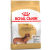 royal canin dachshund adulto1