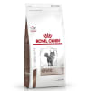 royal canin hepatico gato1
