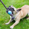 Beco Ball with Rope azul S1