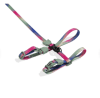 zeecat bliss arnes+trailla1