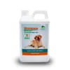allgreen shampoo matico1