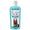 sir dog control caida1
