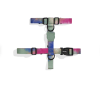 zeedog bliss arnes H3