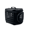 GFPET transp2