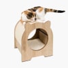 catit vesper minuo nogal1