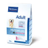 hpm lym adulto castrado1
