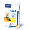 hpm syt adulto1