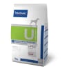 hpm urology perro1