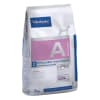 hpm alllergy dog1