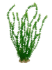 mp deco acua planta1