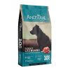 ancestral puppy1