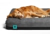 zeebed skull 2.01