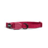 zeecat bordeau collar1