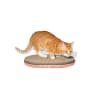 zeecat scratcher citrus3