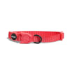 zeecat neon coral collar1
