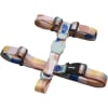 zeedog columbia arnes H1