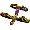 zeedog honey arnes H1