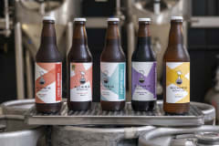 12-Pack Alchimia Brewstillery 12-Pack Alchimia Brewstillery