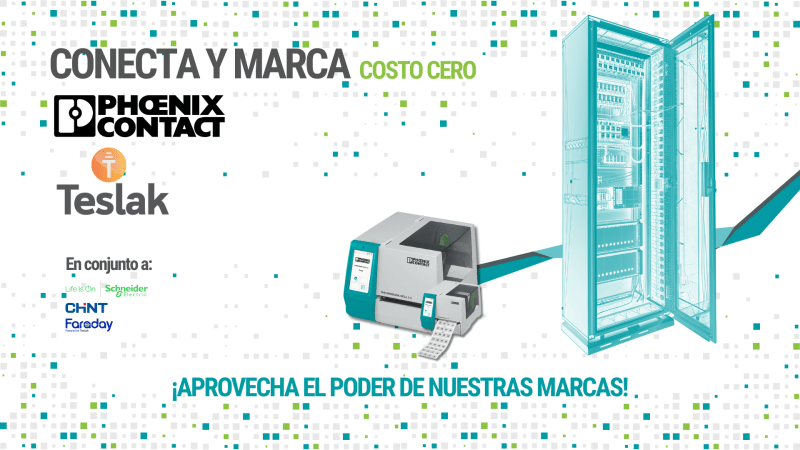 BASES LEGALES 